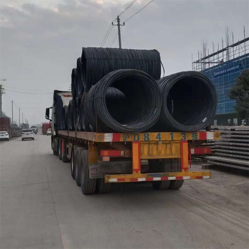 安州区探寻陆川县多元物流运输奥秘