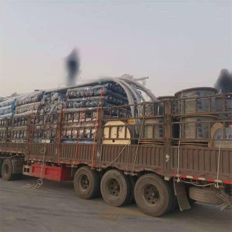 安州区探索港南区多元物流服务与运输线路奥秘