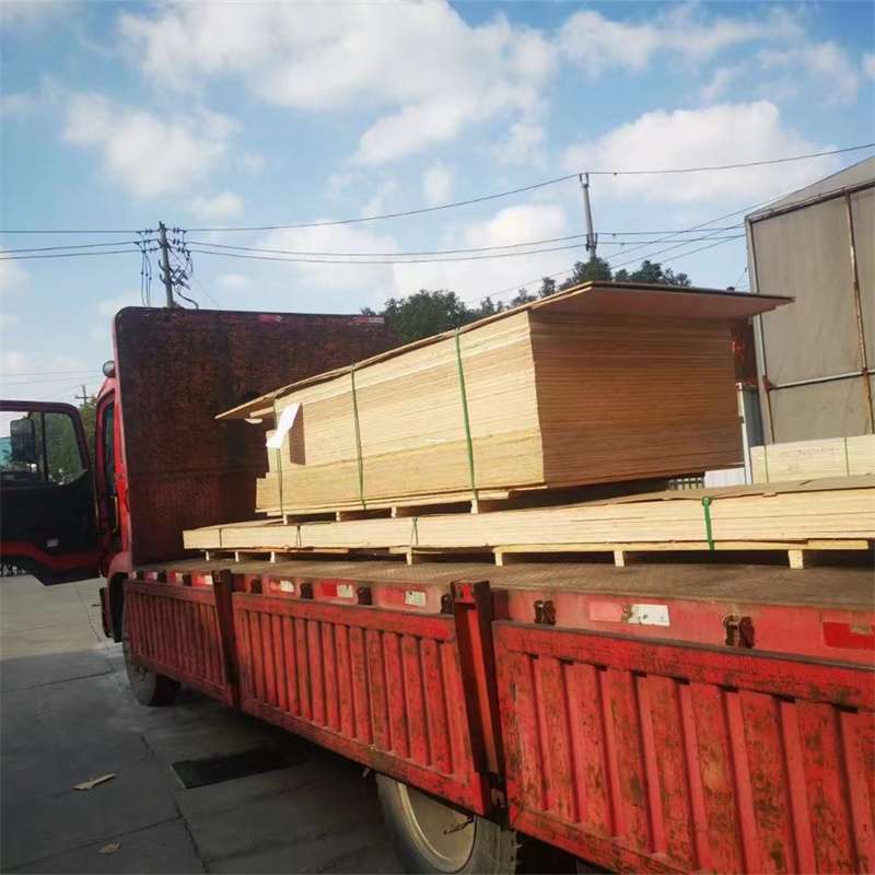 安州区海城市物流：多元运输服务与线路探秘