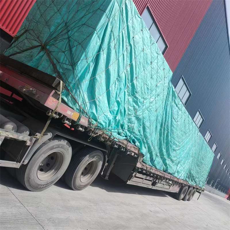 安州区正定县物流：多元运输服务的精彩画卷