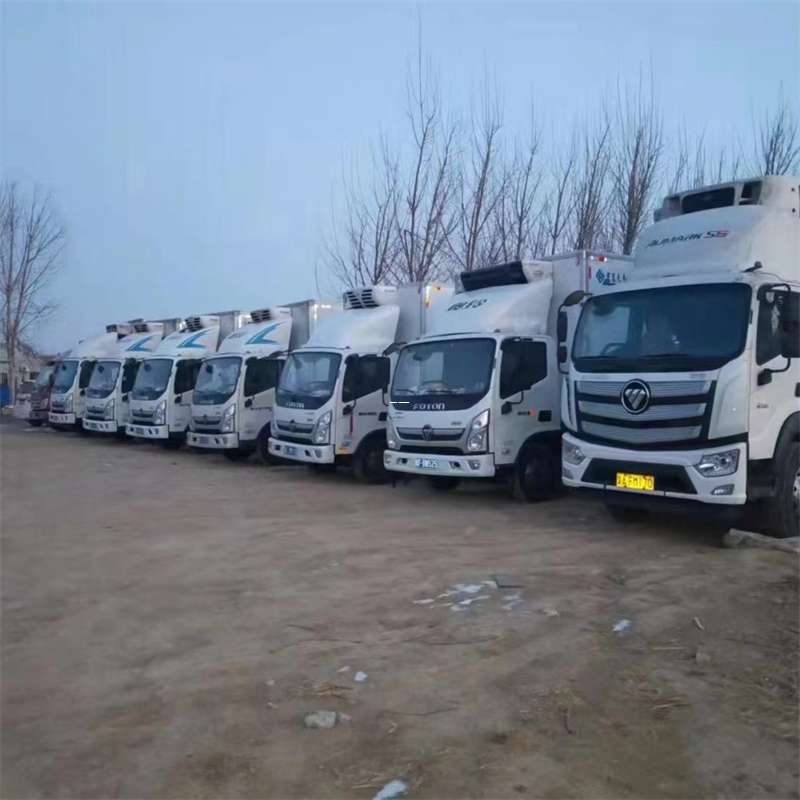 安州区若羌县进仓物流：专线直达的多元货运风采