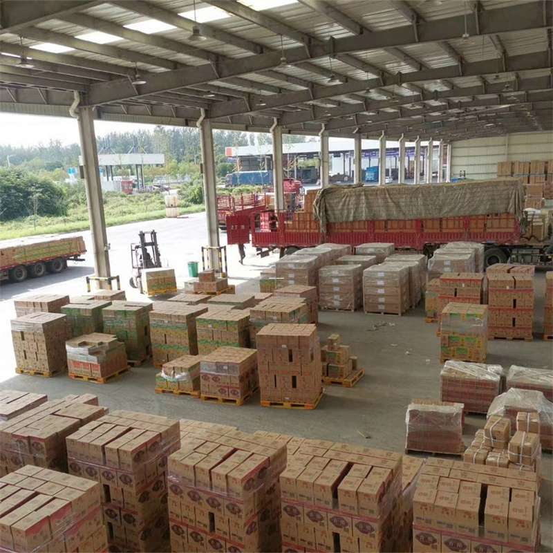 安州区克拉玛依市物流运输：专线直达与大件货运探秘