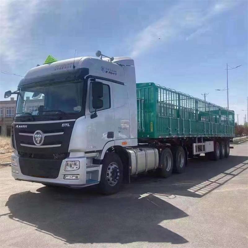 安州区探秘陇西县进仓物流：专线直达的货运传奇