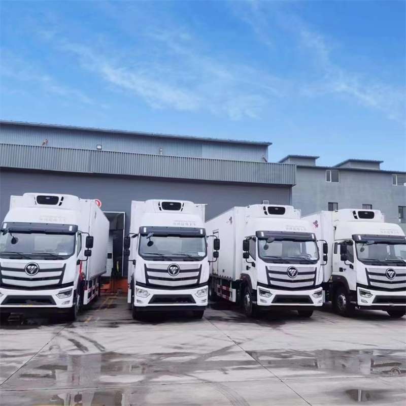 安州区新龙县进仓物流：多元专线直达运输探秘