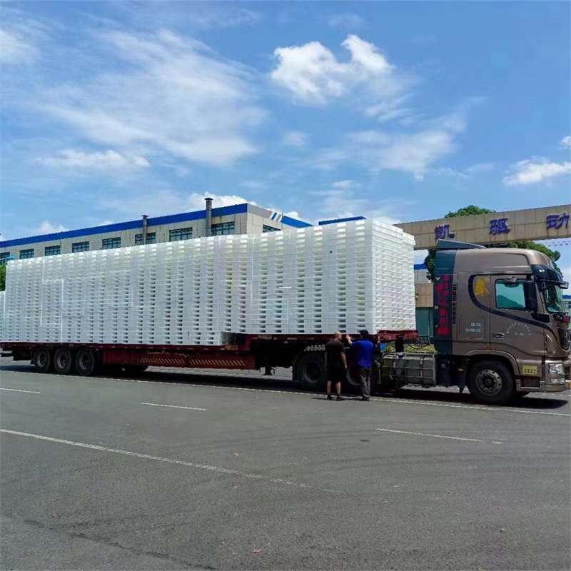 安州区临潼区物流：多元专线与运输服务全景